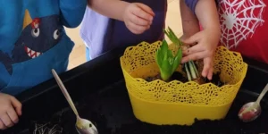 Read more about the article Warsztaty ogrodnicze w Biedronkach 🙂